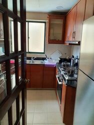 The Bencoolen (D7), Apartment #484245761